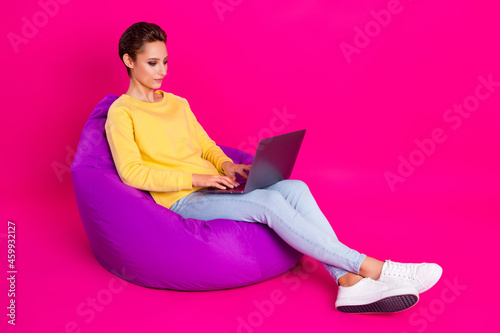 Portrait of attractive focused girl sitting in bag chair using laptop typing isolated over bright pink color background