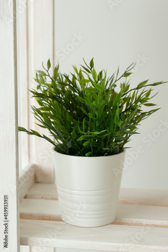 Artificial green grass in white pot. Interior objects concept.