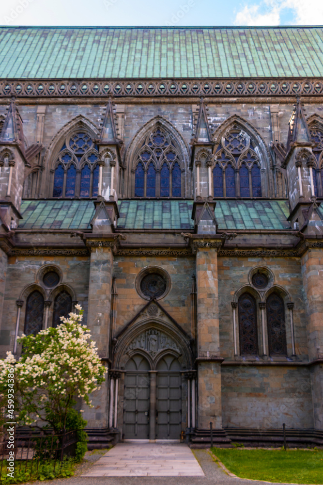 Obraz premium Nidaros Cathedral, (Nidarosdomen) Trondheim Norway framed by green trees with blue sky background
