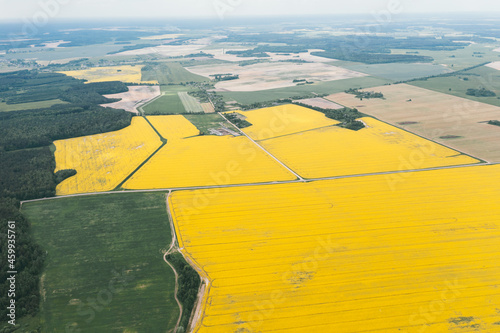 Aerial view of a beautiful rural area with yellow and green fields with rapeseed.
