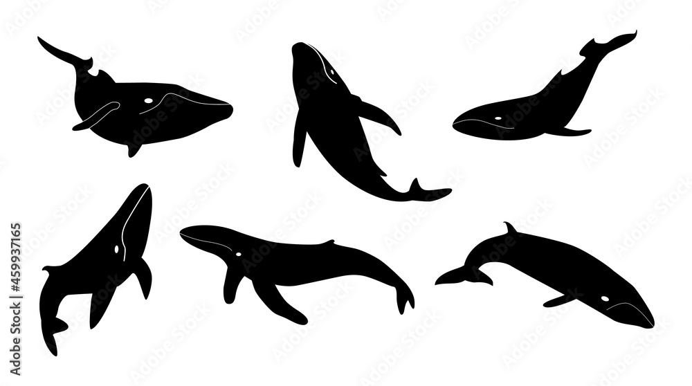 Fototapeta premium Set of black white silhouettes of humpback whales. Group of marine animal for protection of fauna. Collection of logos underwater mammals with fins and tails for design. Vector isolated illustration