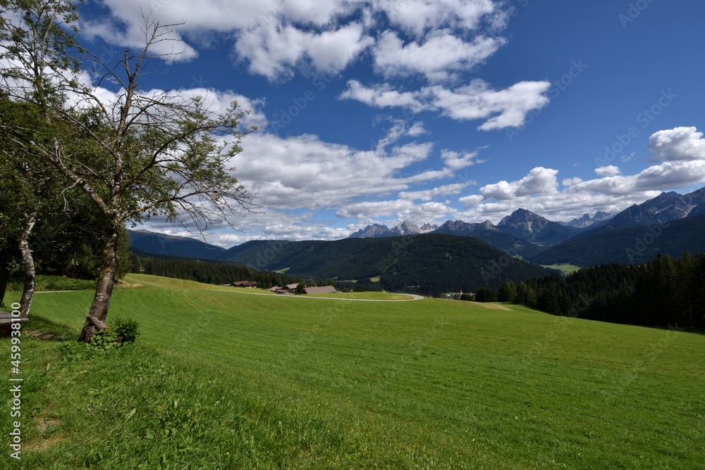 Summer afternoon on the Tesido meadows