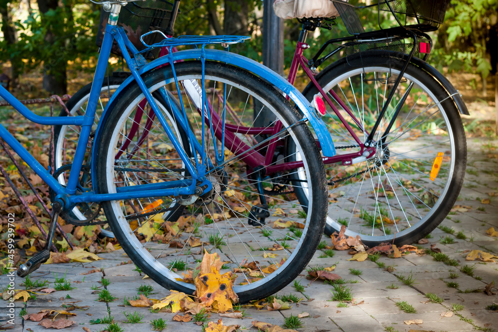 Close-up of the rear wheel of two bicycles. Side view. Autumn leaves background.