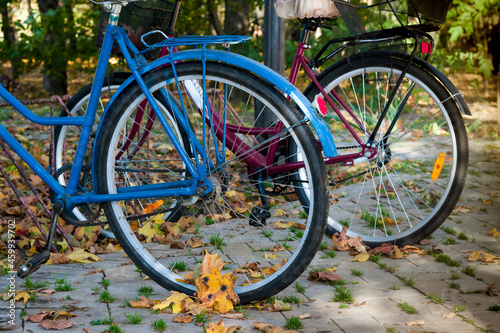 Close-up of the rear wheel of two bicycles. Side view. Autumn leaves background.