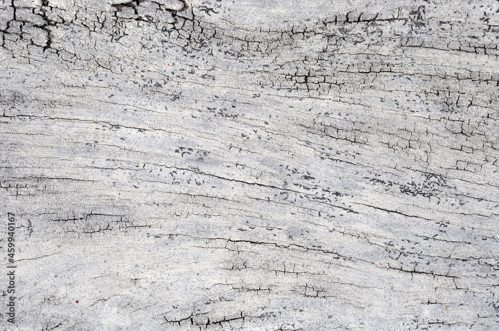 Obraz premium texture