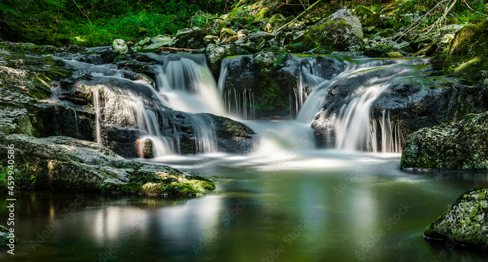 Obraz premium Wasserfall im Wald an einem Wildbach
