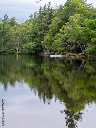 forest lake reflection