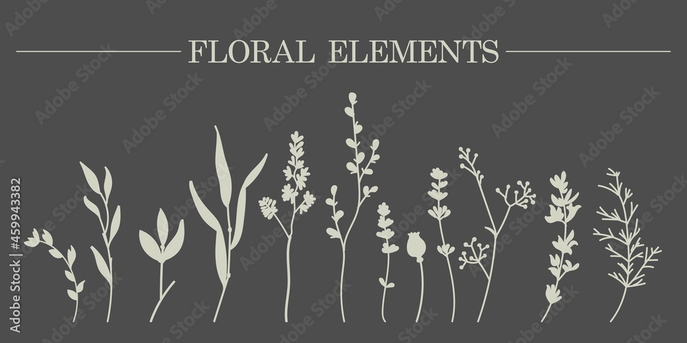 Hand-drawn sketch of vector plant elements of laurels, leaves, flowers, branches. Suitable for invitations, greeting cards, quotes, blogs, wedding frames, posters. Vector illustration Hand-drawn sketch of vector plant elements of laurels, leaves, flowers, branches. Suitable for invitations, greeting cards, quotes, blogs, wedding frames, posters. Vector illustration
