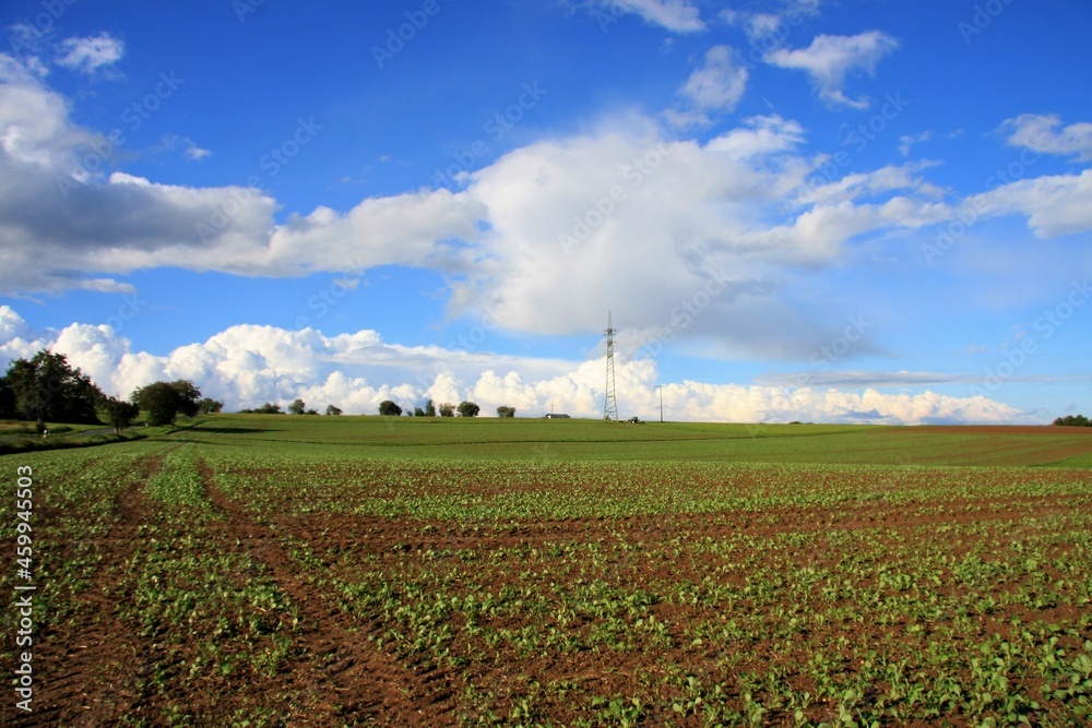 Landwirtschaft Feld