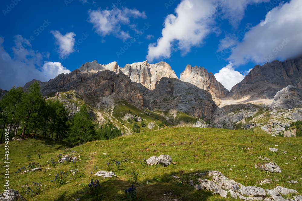 View of the Marmolada massif from Val Contrin. Dolomites.