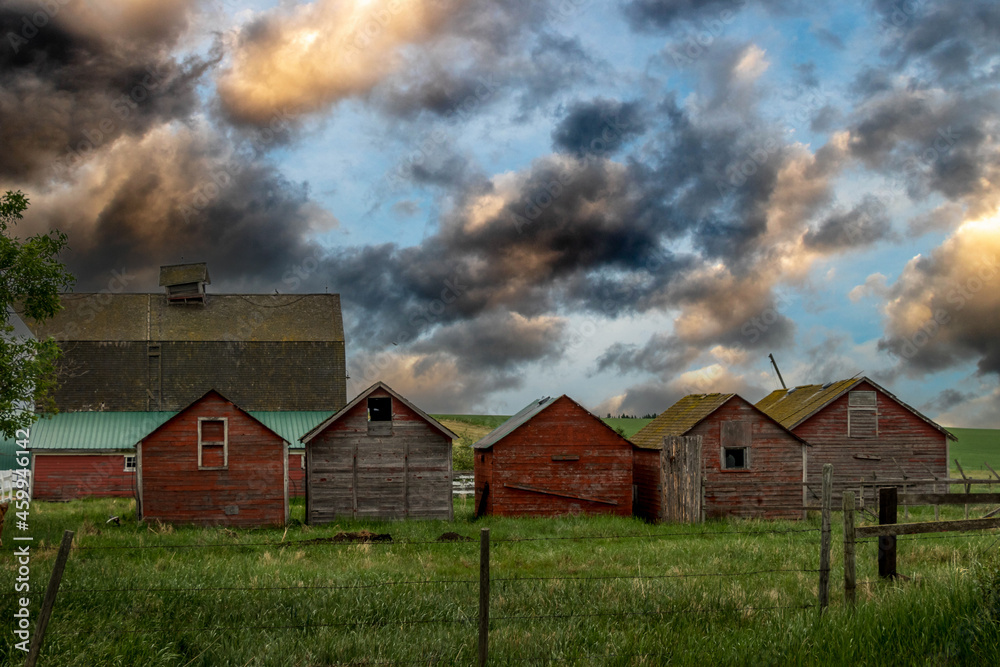Fototapeta premium Rustic out buildings in Huxley Alberta Canada