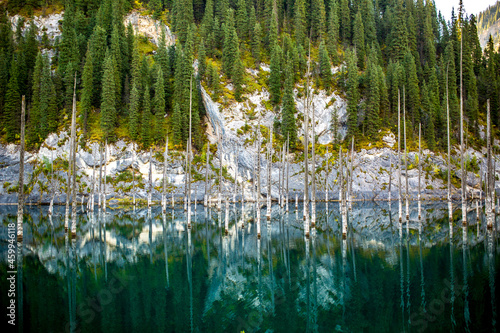 Fototapeta Naklejka Na Ścianę i Meble -  Lake Kaindy sunken forest in Kazakhstan. Beautiful mountain nature landscape. Blue lake Kolsai top view. Panoramic view of the nature reserve.