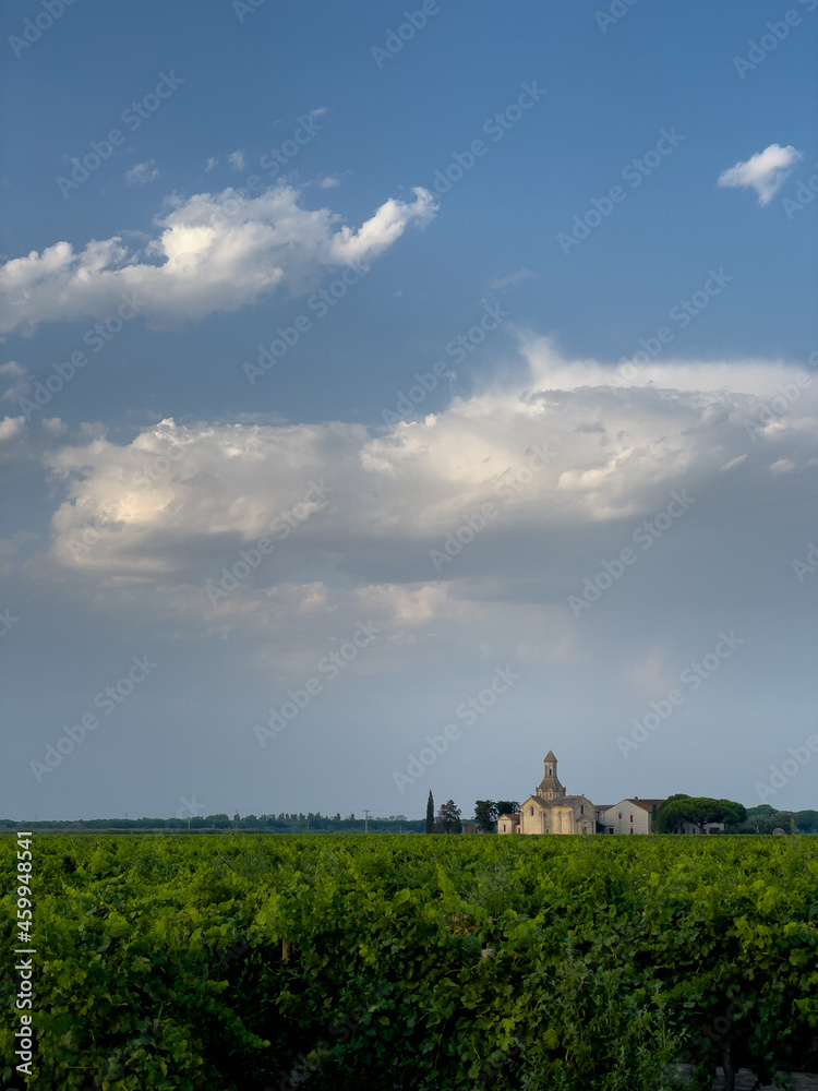 farmhouse in the south of france with vineyards in the foreground and blue sky