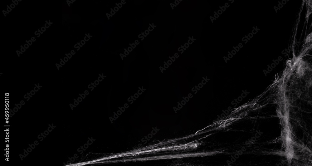 Spider web on black background. Halloween banner. Copy space. Selective focus.