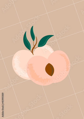 ilustración vectorial editable de durazno o damasco 