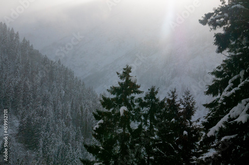 Winter scenery in Çamlıhemşin in Rize 