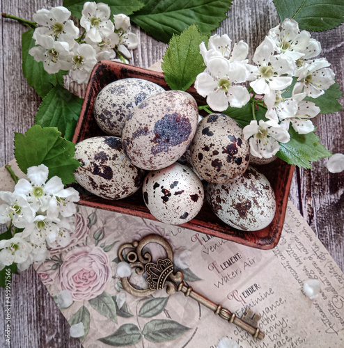 Quail eggs are a delicious diet food