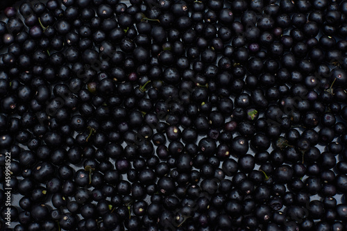 Dark berries of Sunberry (Solanum retroflexum Solanum burbankii) on wooden table. Wonderberry