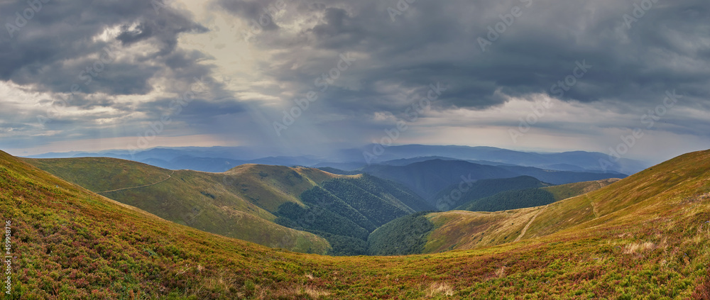 Fototapeta premium Panorama of the autumn mountain landscape. Blueberry bushes have already turned red, and the grass has turned yellow