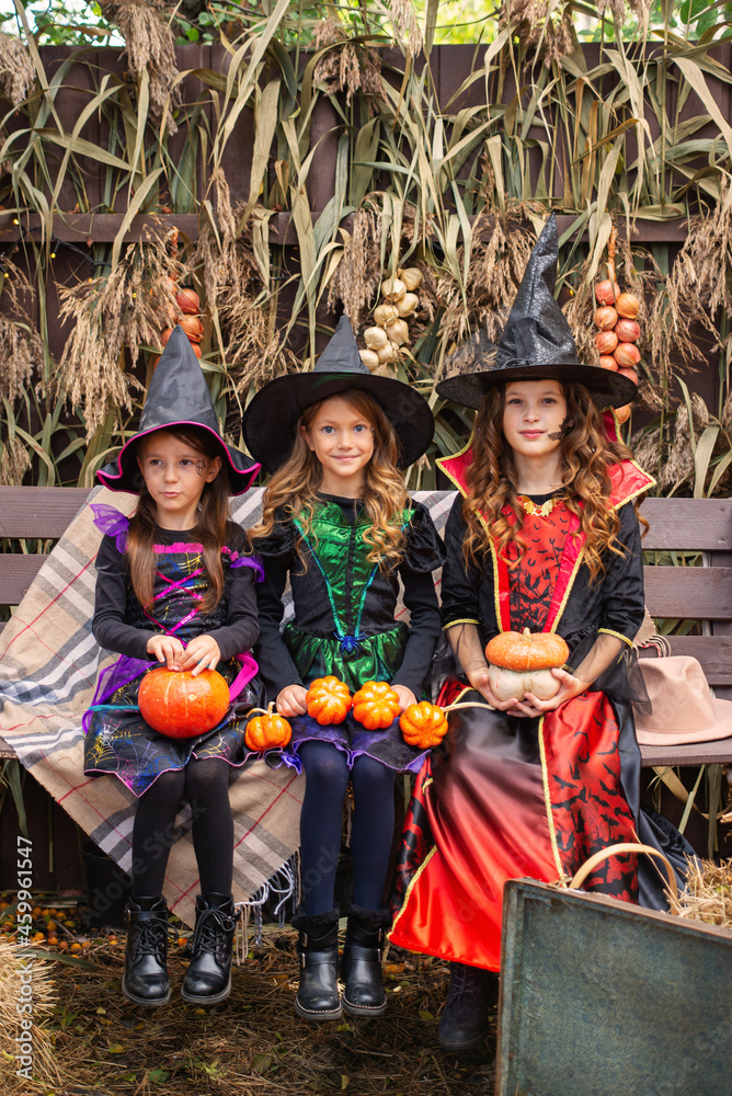 Obraz premium Happy Halloween! Three cute little laughing girls in witches costumes are coming to the house for sweets.