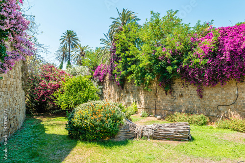 Fototapeta Naklejka Na Ścianę i Meble -  Blooming streets of the old town of Rhodes, Greece
