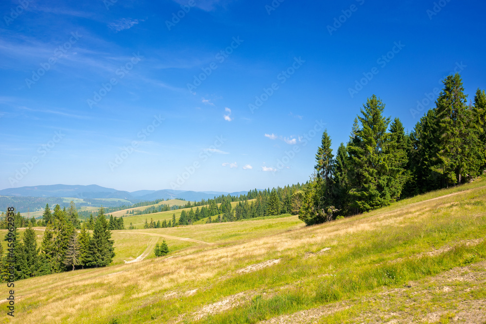 trees on the hill. view in to the distant rural valley. blue sky with clouds in evening light