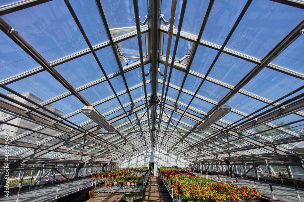 The device and view of the greenhouse from the inside. Large windows with automatic ventilation system. Premises for growing beautiful or rare plants