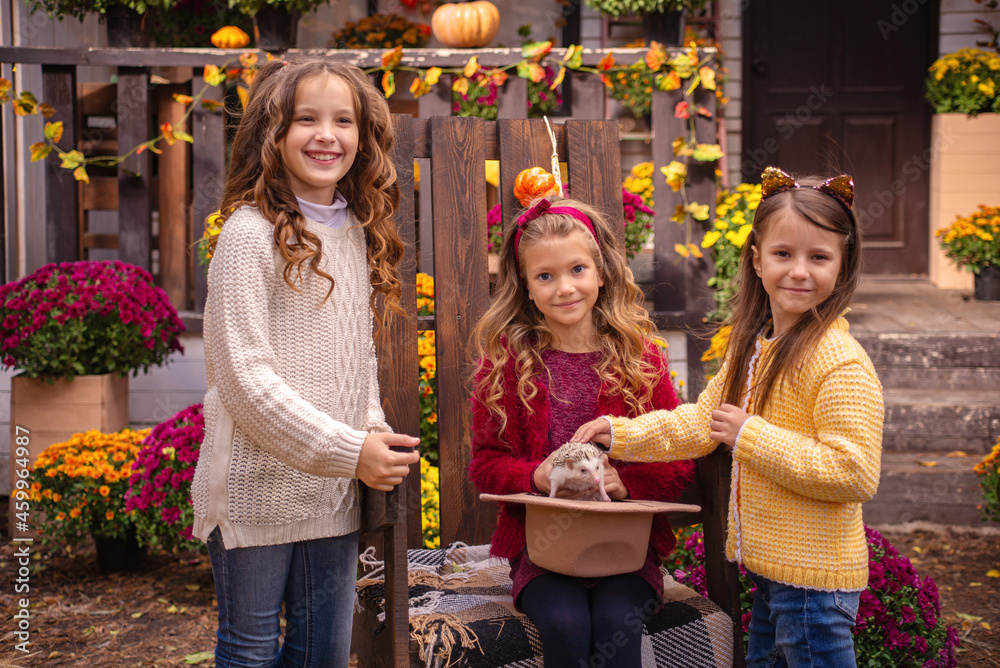 Obraz premium cute little girls play with a hedgehog on a bench in autumn. happy childhood