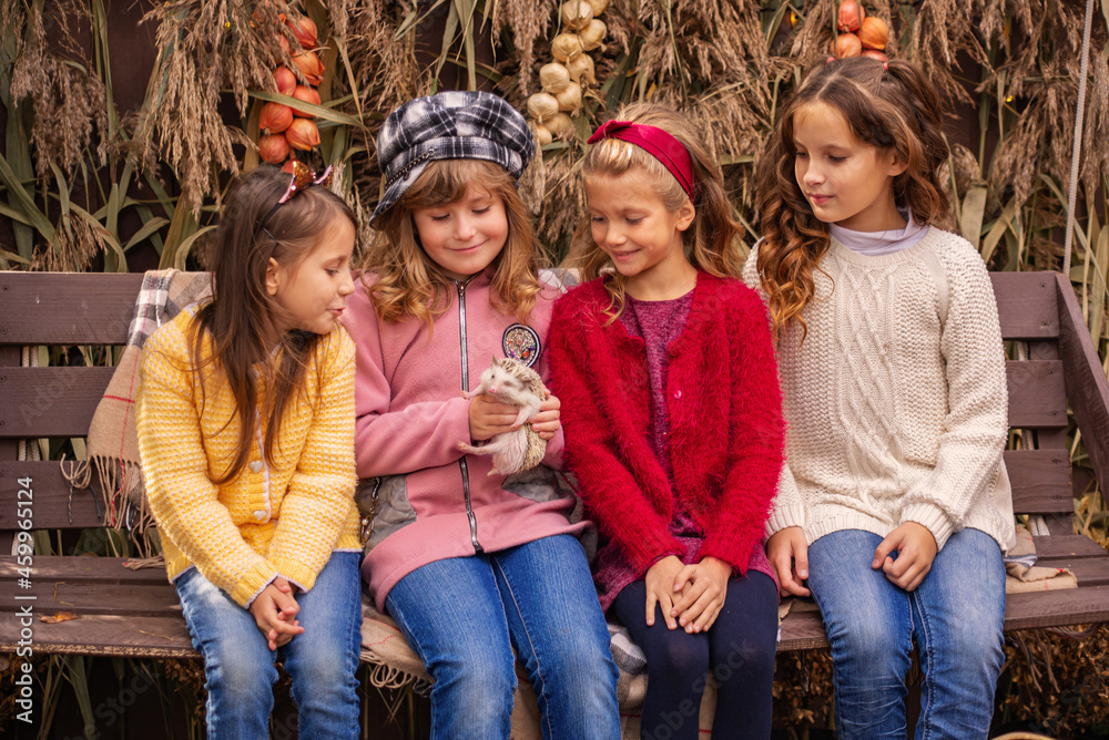 cute girls girlfriends with a hedgehog in their arms sits on a bench in autumn cute girls girlfriends with a hedgehog in their arms sits on a bench in autumn