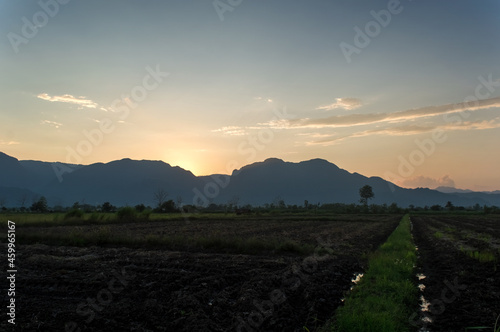 rice field background high mountain landscape beauty of nature hot and humid forest

