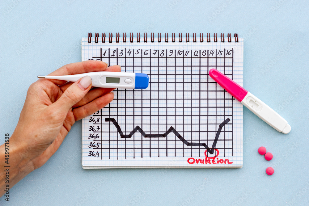 Basal temperature calendar with hands holding ovulation home test Basal temperature calendar with hands holding ovulation home test