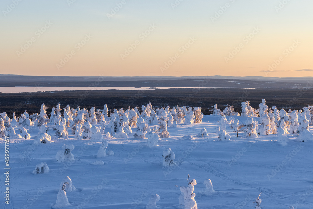 Naklejka premium Sunny winter evening on the top of the fell in Lapland, Riisitunturi