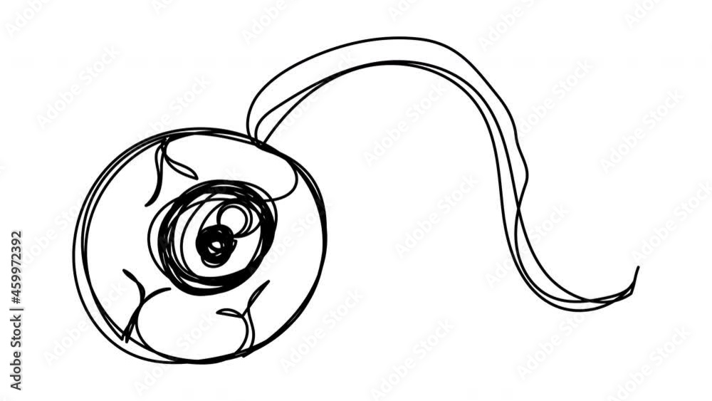 Self-drawing eyeball one line on a white background. Animation with a ...