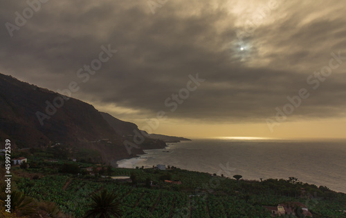 banana farm near the sea and the coast of the canary islands with a cloudy sky in the afternoon