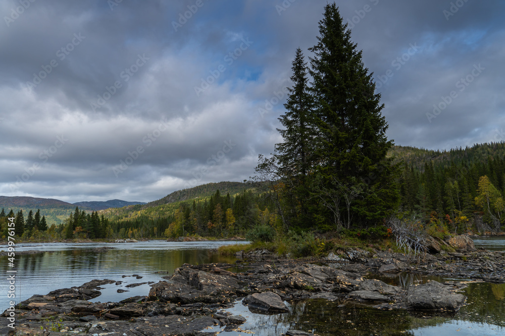 Norwegische Wasserläufe mit angrenzenden Wäldern