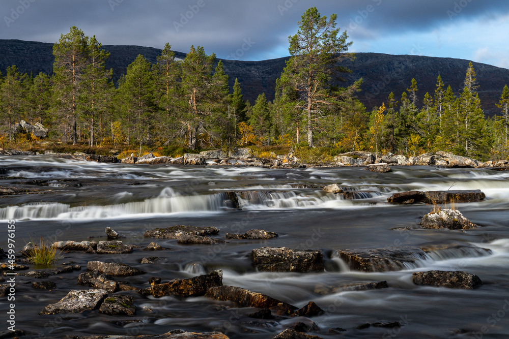 Fototapeta premium Norwegische Wasserläufe mit angrenzenden Wäldern