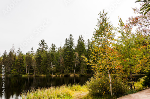   tang de la gru  re  la gru  re  See  Moorsee  Moor  Holzsteg  Hochmoor  Wanderweg  Spazierweg  Wald  Waldweg  Wasserpflanzen  Torfmoos  Jura  Naturschutz  Sommer  Herbst  Herbstfarben  Schweiz