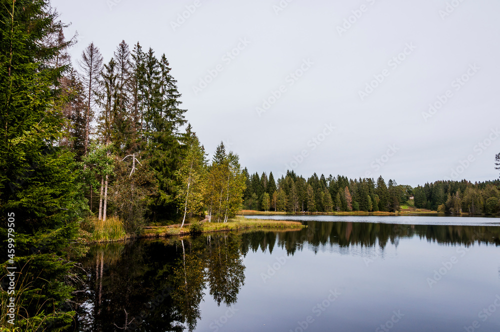 Obraz premium étang de la gruère, la gruère, See, Moorsee, Moor, Weiher, Hochmoor, Wanderweg, Spiegelung, Wald, Waldweg, Wasserpflanzen, Torfmoos, Jura, Naturschutz, Sommer, Herbst, Herbstfarben, Schweiz