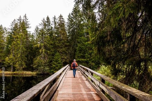 étang de la gruère, la gruère, See, Moorsee, Moor, Weiher, Hochmoor, Wanderweg, Wanderer, Holzbrücke, Wald, Waldweg, Wasserpflanzen, Torfmoos, Jura, Naturschutz, Herbst, Herbstfarben, Schweiz