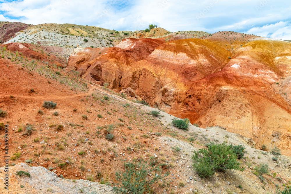 Fototapeta premium Мои работы