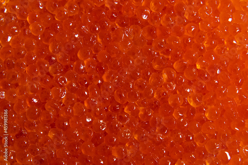 Red caviar textured background made from large amount of orange chum salmon (Oncorhynchus keta, also be known as dog salmon or keta salmon) roe. Selective focus. Delicacy food theme.