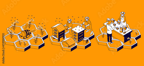 Beekeeping Honeycomb Isometric Infographics