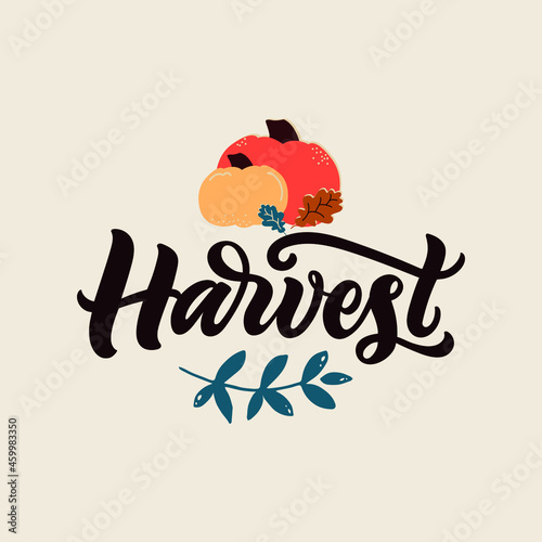 Harvest hand drawn word and autumn harvest symbols. Harvest fest poster design. Vector illustration of pumpkin and leaves. Hand lettering, modern brush ink calligraphy for card, poster, emblem, banner