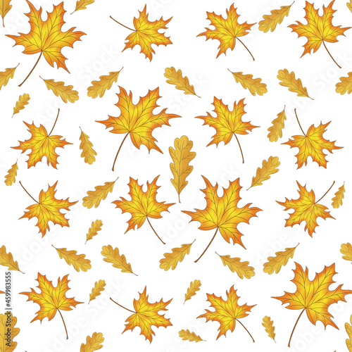 seamless pattern autumn maple and oak leaves