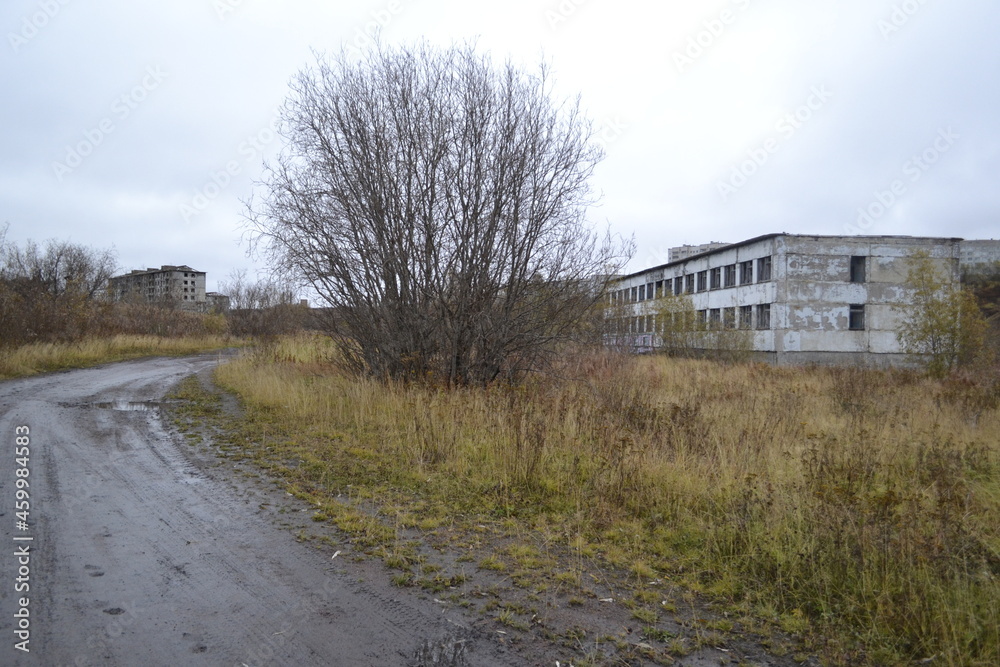 country road in spring
