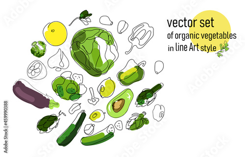 Art line set of vegetables and fruits, round composition, cabbage, eggplant, lemon, rosemary, artichokes, cucumbers, garlic, avocado and so on, Healthy food concept, vegan set isolated on white backgr
