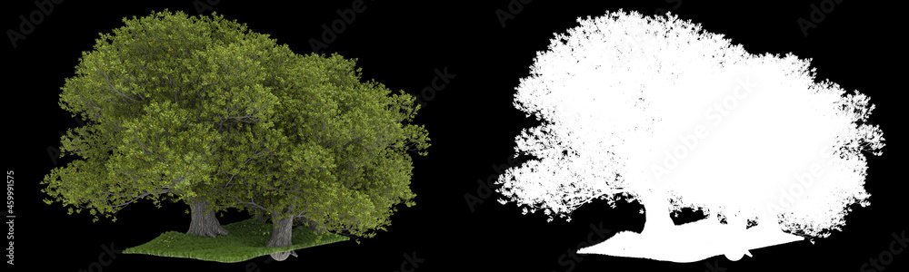 Fototapeta premium Forest isolated on background with mask. 3d rendering - illustration