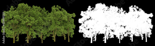 Wallpaper Mural Forest isolated on background with mask. 3d rendering - illustration Torontodigital.ca