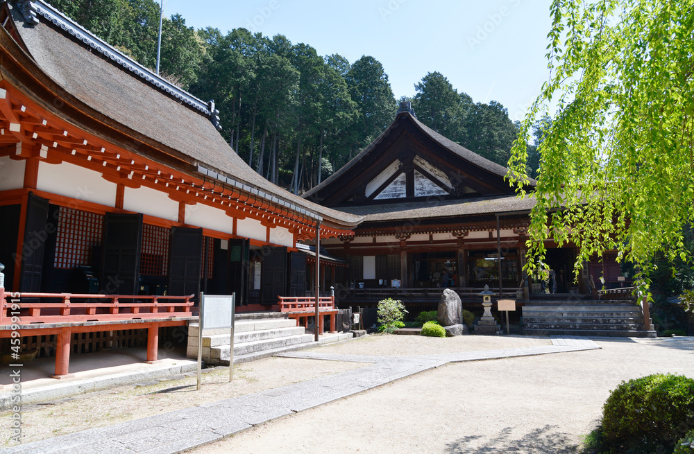 長命寺　三仏堂と本堂　滋賀県近江八幡市