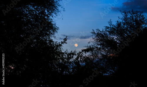 Luna
